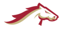 Birmingham Stallions single logo